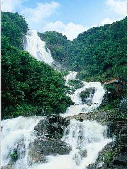 全州低温雨雪凝冻灾害防范应对工作视频调度会召开